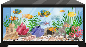 aquarium cartoon vector images over 39