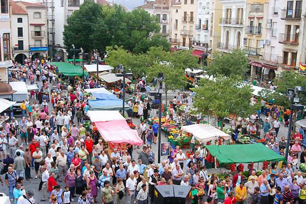 Mercadillo de Plasencia