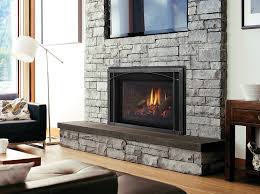 Regency Liberty Lri6e Gas Insert