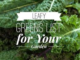 list of green leafy vegetables from a