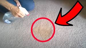 stain out of carpet using only vinegar