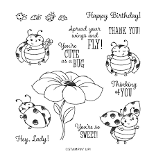 little ladybug note card gift package