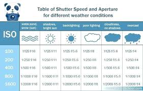 Nikon Shutter Speed And Aperture Chart Achievelive Co