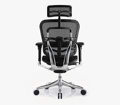 raynor ergohuman ergo elite chair with