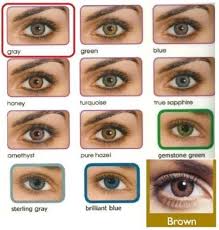 Fresh Colored Contact Lenses Kontaktlinsen Coloured Contacts