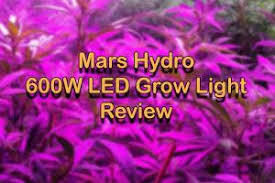 Why A Beginner Should Start With Mars Hydro 600w Detailed Review