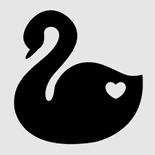 black swan cygnini bird heart