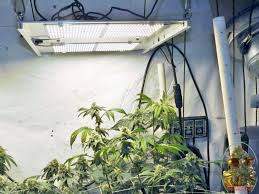 Horticulture Lighting Group Hlg 300 Quantum Board Review 420 Grower