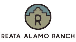 reata at alamo ranch apartments in