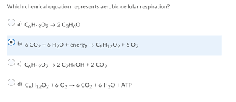 Chemical Equation Represents