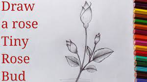 to draw a rose how to draw a rose bud