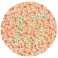 ishihara test for color blindness