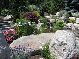 create a water wise garden with stone