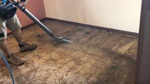 carpet cleaning regina affordable s