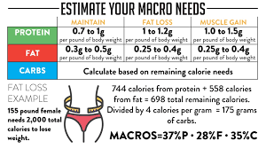 how to count macros what are macros