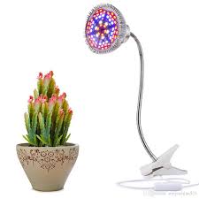 10w Grow Light Led Desk Lamp Bulb Plant Growing Lights With 360 Degree Clip Flexible Gooseneck Clamp For Indoor Plants Hydro Grow Led Indoor Plant Light From Megochina521 20 11 Dhgate Com