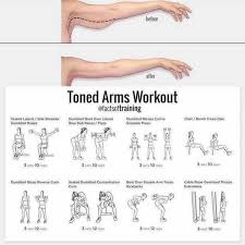Arm Plan Tone Arms Workout Exercise Gym Workouts