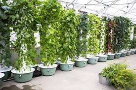 best hydroponic tower vertical