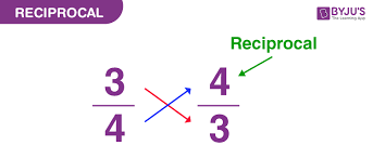 Reciprocal Definition Examples