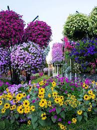 Garden of Beautiful Flowers - Home | Facebook