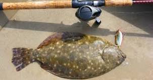 When can you not catch flounder in Texas?