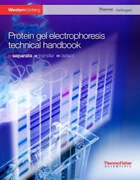 gel electropsis technical handbook