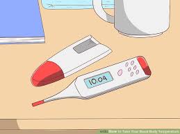 How To Take Your Basal Body Temperature Tips To Chart It