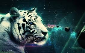 white tiger creative design hd