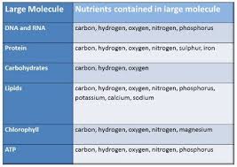 Fertilizer Selecting The Right Npk Ratio