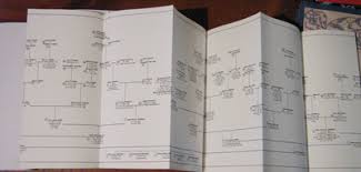 Twigs And Branches Family Tree Charts
