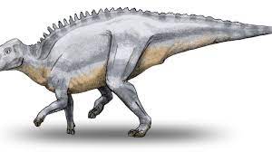 Dinozaur z Transylwanii miał guza na żuchwie. I co z tego? Jego badanie  jest ważne dla ludzi - National Geographic