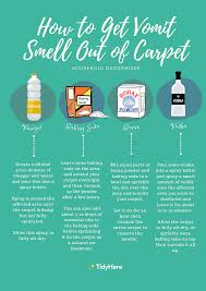 how to clean vomit from carpet tidyhere