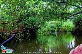 Danau rawa pening mempunyai luas sekitar 2.670 hektar dan sebagian besar ditumbuhi tanaman enceng gondok. Ekowisata Explore Cagar Alam Rawa Danau