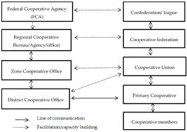 Organizational Structure Of Cooperatives In Ethiopia For