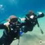 Godive mykonos scuba diving resort reviews from sg.trip.com