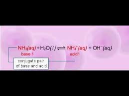 Reaction Of Ammonia With Water