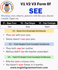 past tense of see past participle form