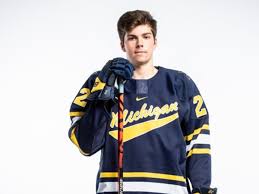 Set had a vital role as a reconciled combatant. What Makes Owen Power A Top Nhl Draft Prospect The Hockey News On Sports Illustrated