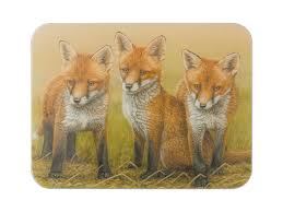 Three Fox Cubs Glass Worktop Saver