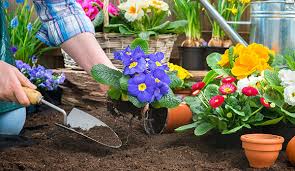 6 Simple Gardening Tips To Prepare Your