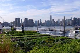 Brooklyn Grange Farms And Apiary