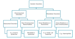 Please Give A Flow Chart For Mendelian Disorders And