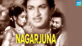 Nagarjuna  Movie