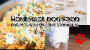 homemade dog food for sensitive