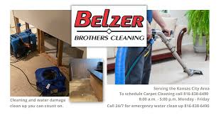 belzer brothers cleaning