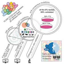 Comprehensive Characterization Of Cancer Driver Genes And
