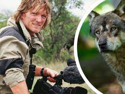 Tierfilmer Andreas Kieling kritisiert Wolf-Gegner – „Wie eine Sekte“
