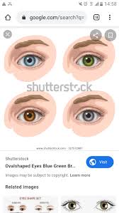 This shape is essentially the opposite of upturned: What Does It Mean To Have Oval Shaped Eyes Aren T Everyone S Eyes Round Oval Shaped Eyes Are Supposed To Be A Good Facial Feature Quora