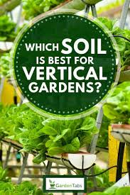Which Soil Is Best For Vertical Gardens