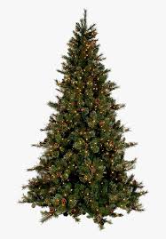 Free Christmas Tree Png Transparent Images Download Real